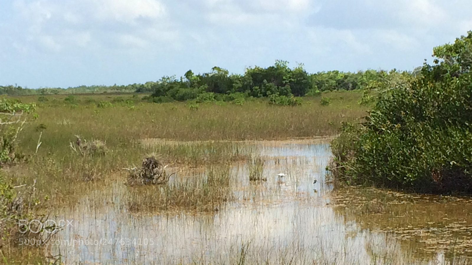 Apple iPhone 5s sample photo. Florida photography