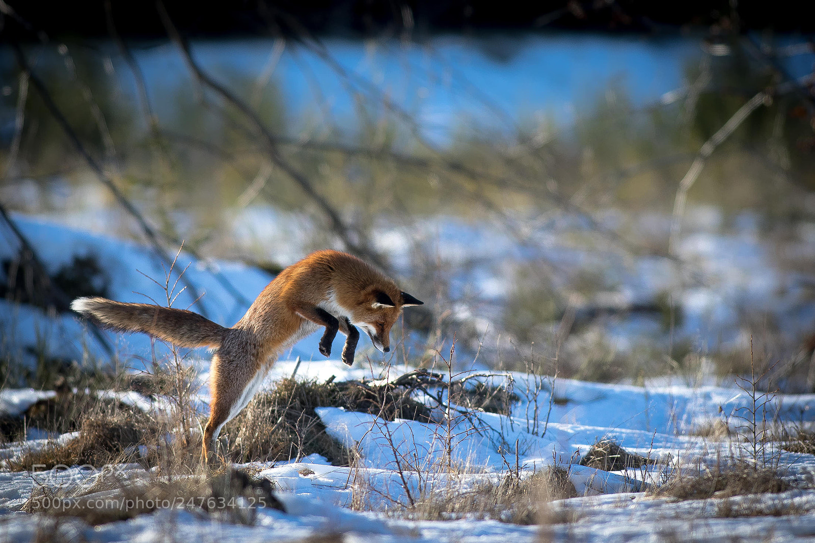 Canon EOS 7D Mark II sample photo. Jump... photography