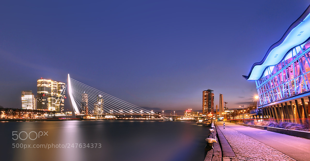 Canon EOS 80D sample photo. Rotterdam photography