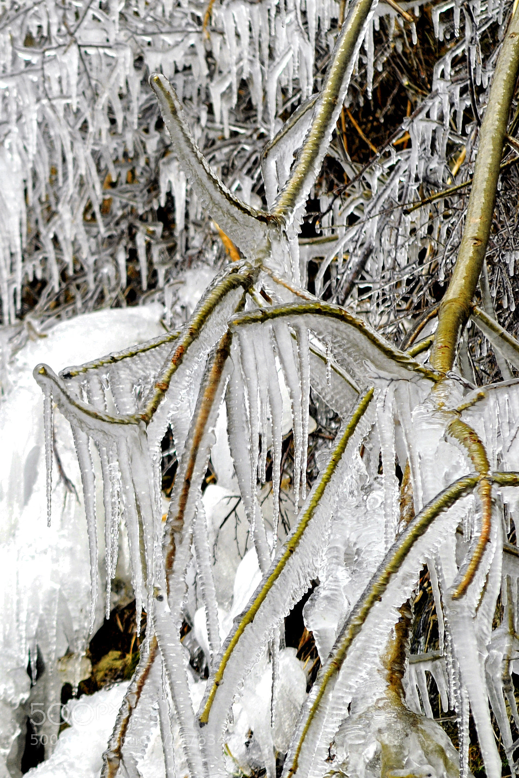 Nikon D300 sample photo. Glace à l'eau 4 photography