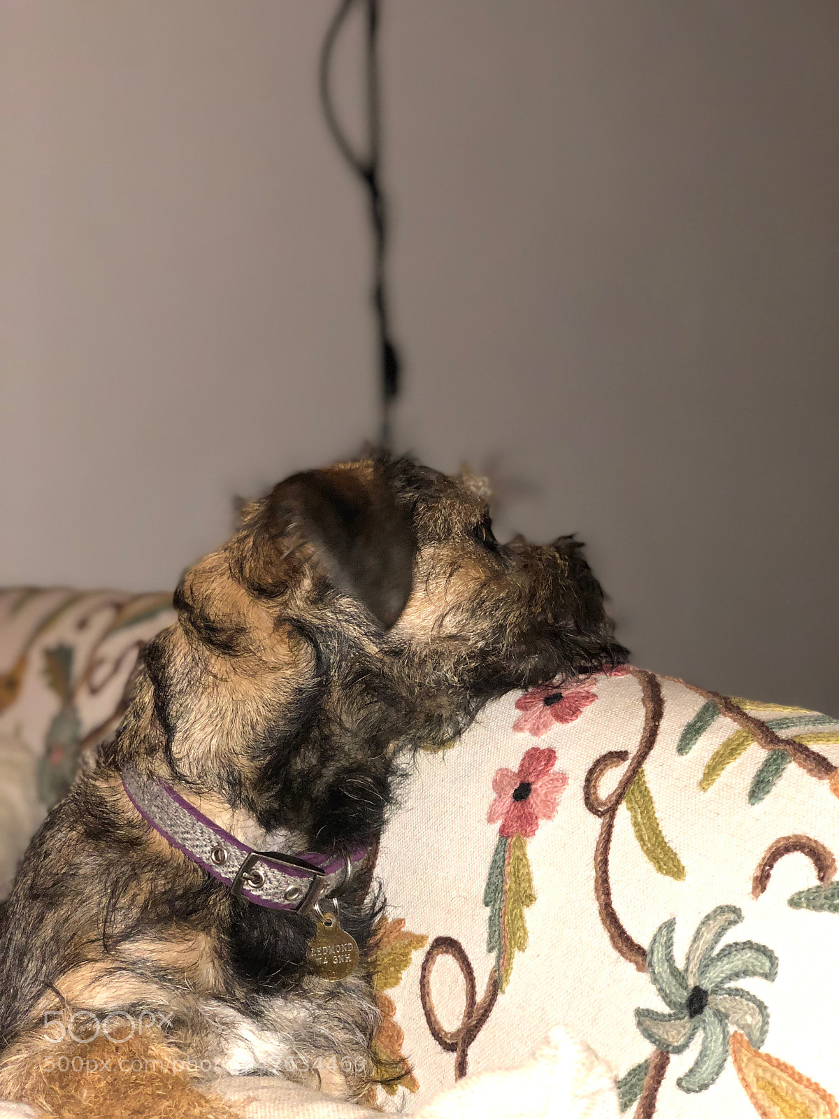 Apple iPhone X sample photo. Untitled photography