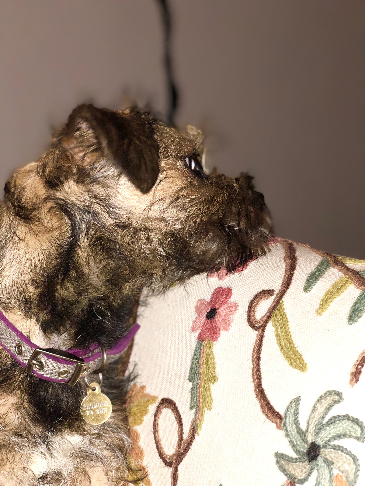 Apple iPhone X sample photo. Untitled photography