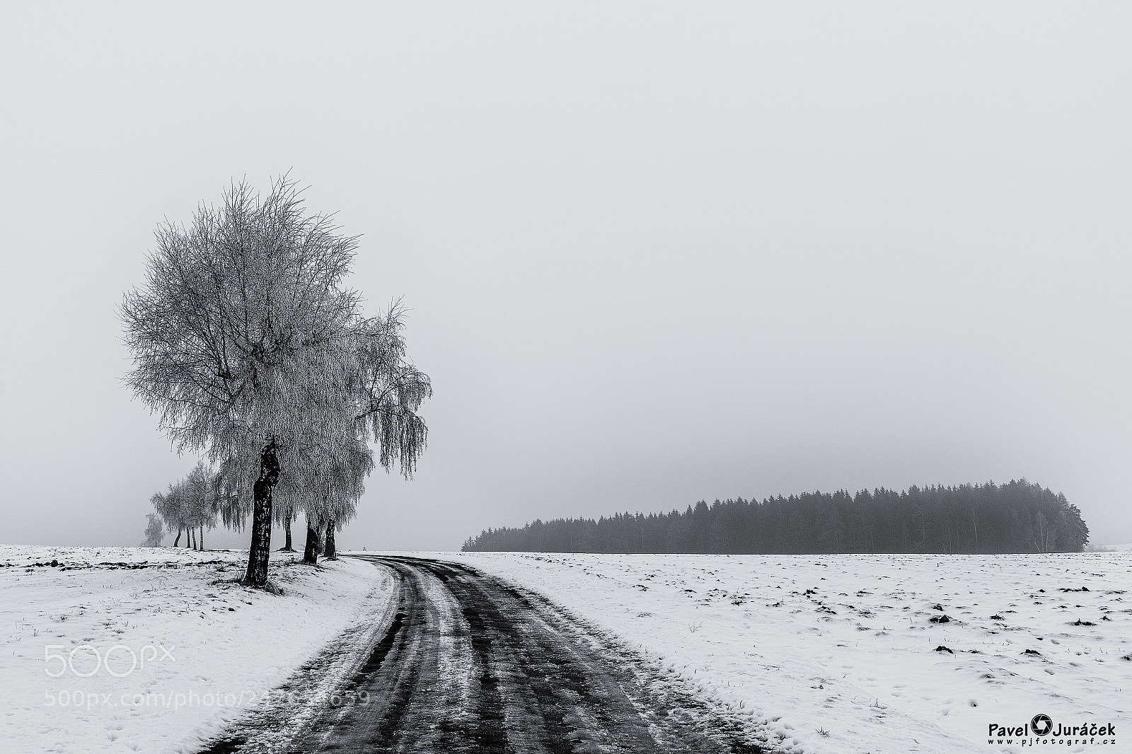 Nikon D5600 sample photo. Vysočinou ... 48. bw photography