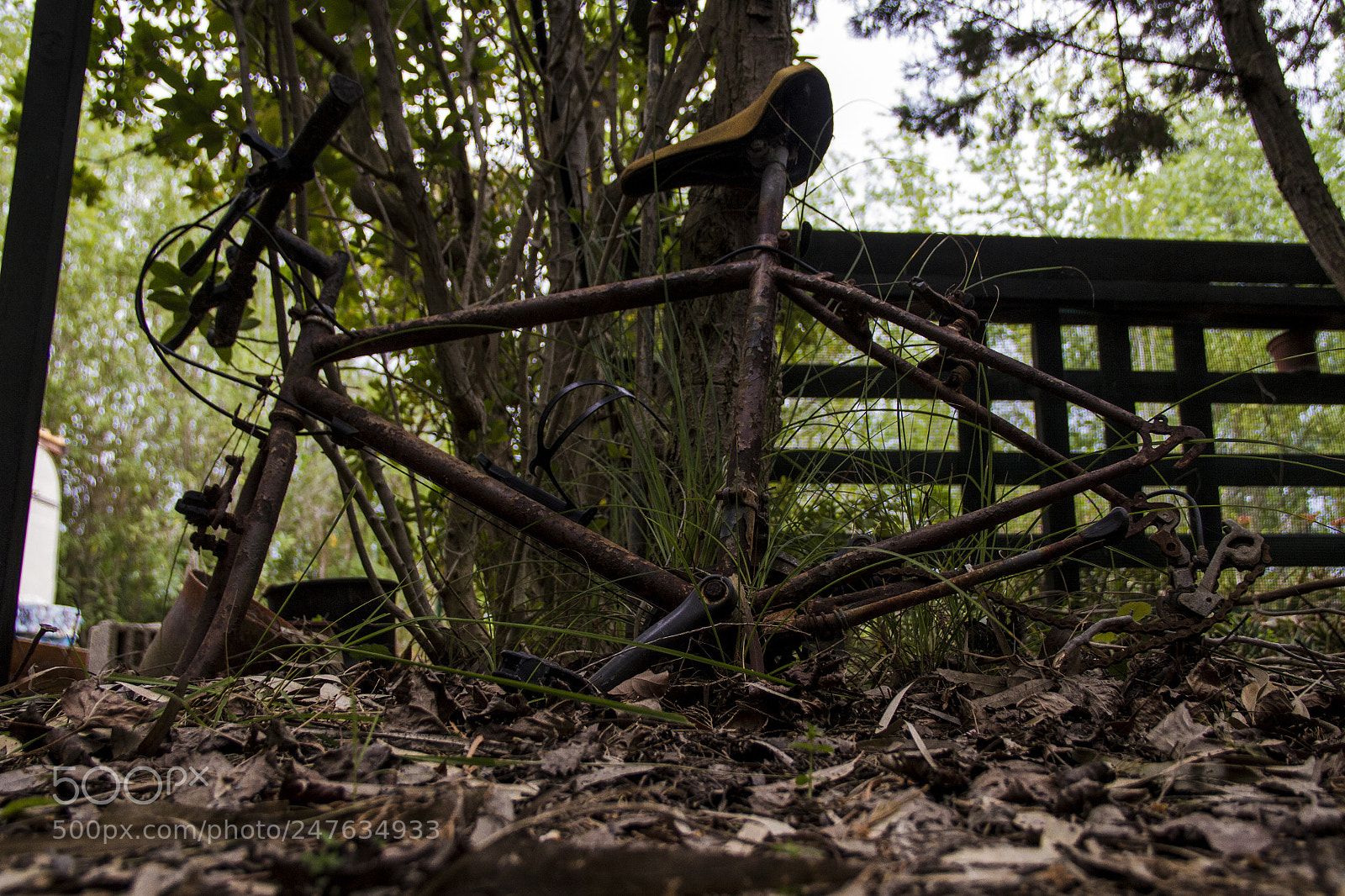 Canon EOS 7D sample photo. S. camp photography