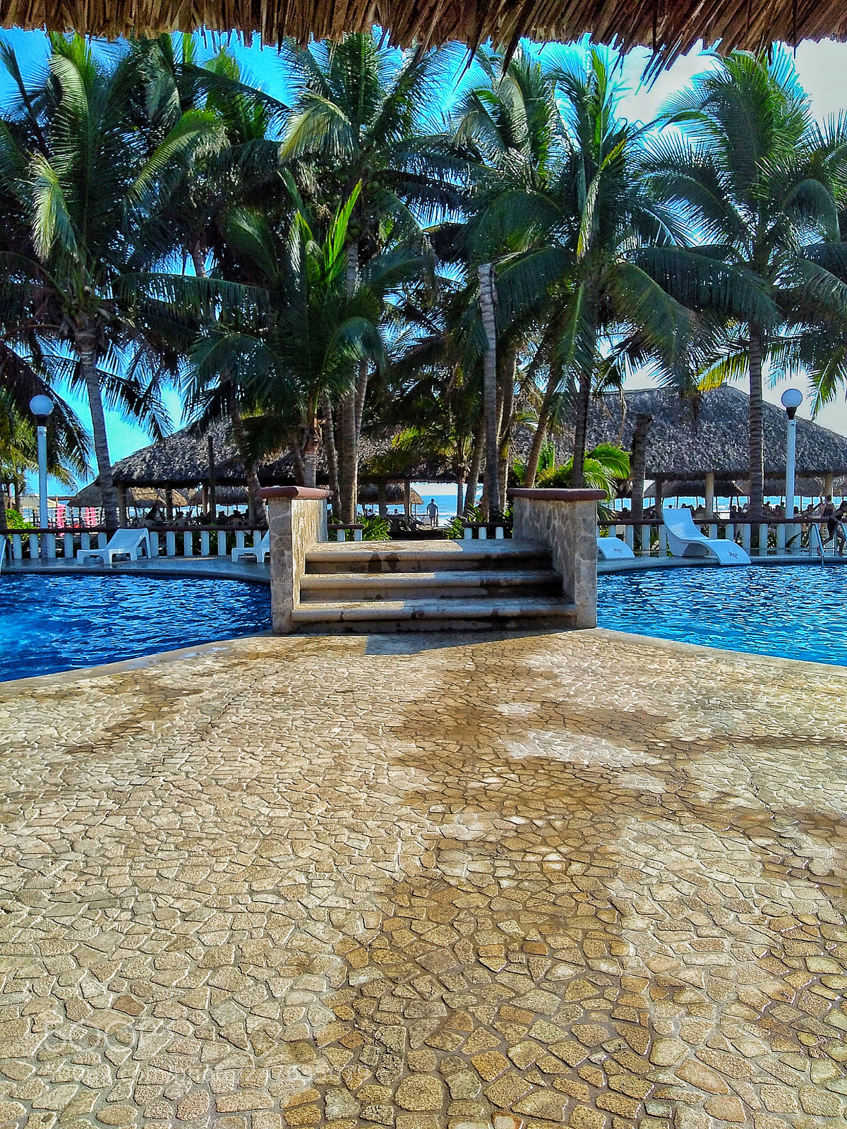 Motorola Moto G Play sample photo. Untitled photography