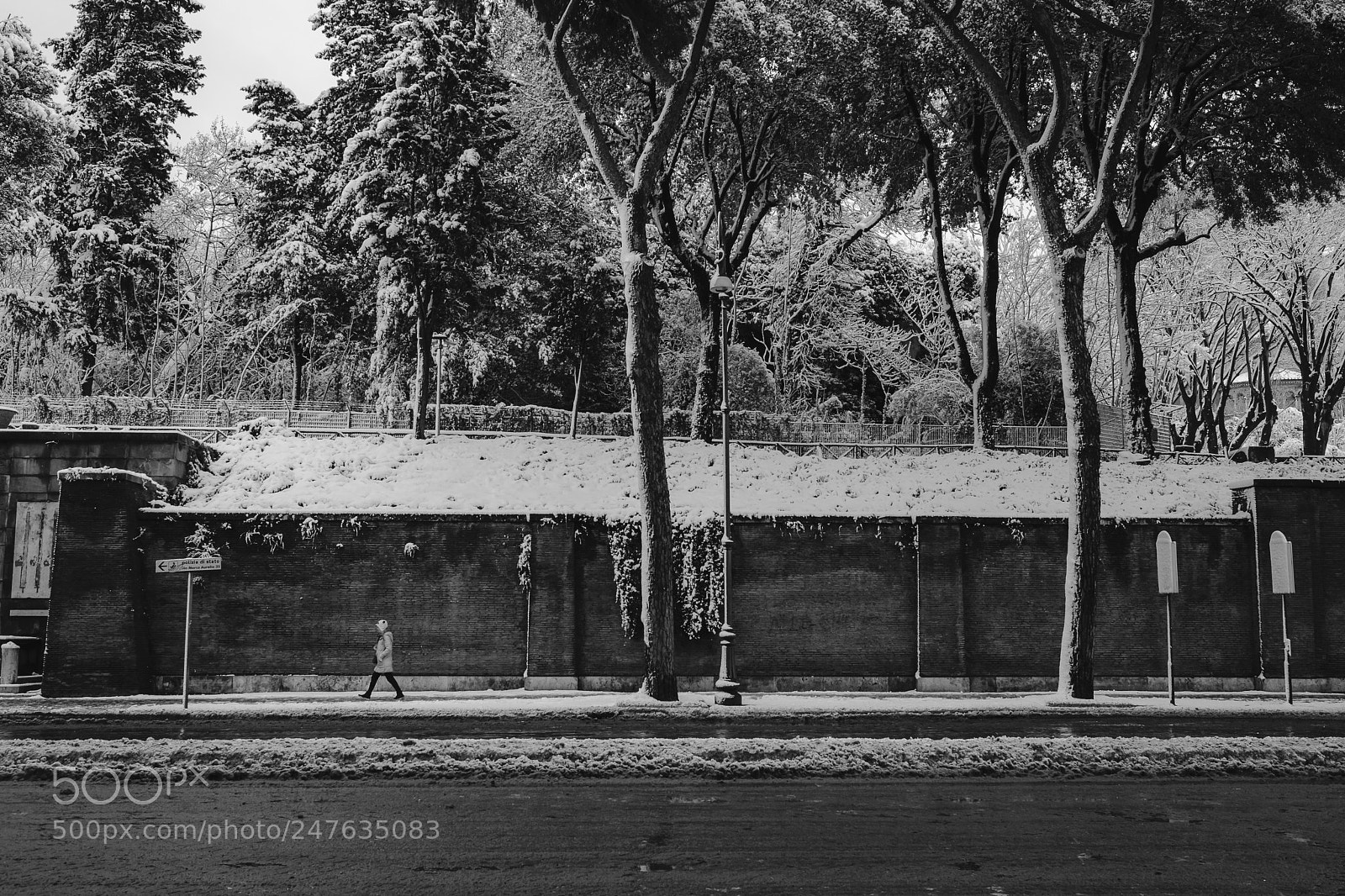 Fujifilm X-T2 sample photo. Untitled photography