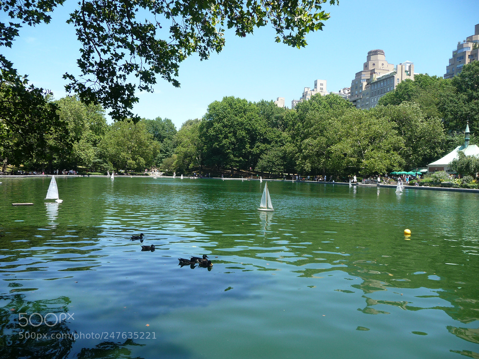 Panasonic Lumix DMC-TZ5 sample photo. Central park photography