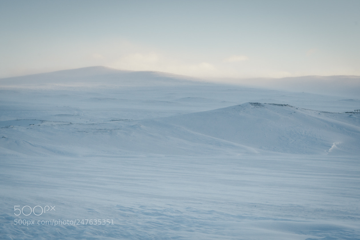 Canon EOS-1D Mark III sample photo. Icecreamland ii photography