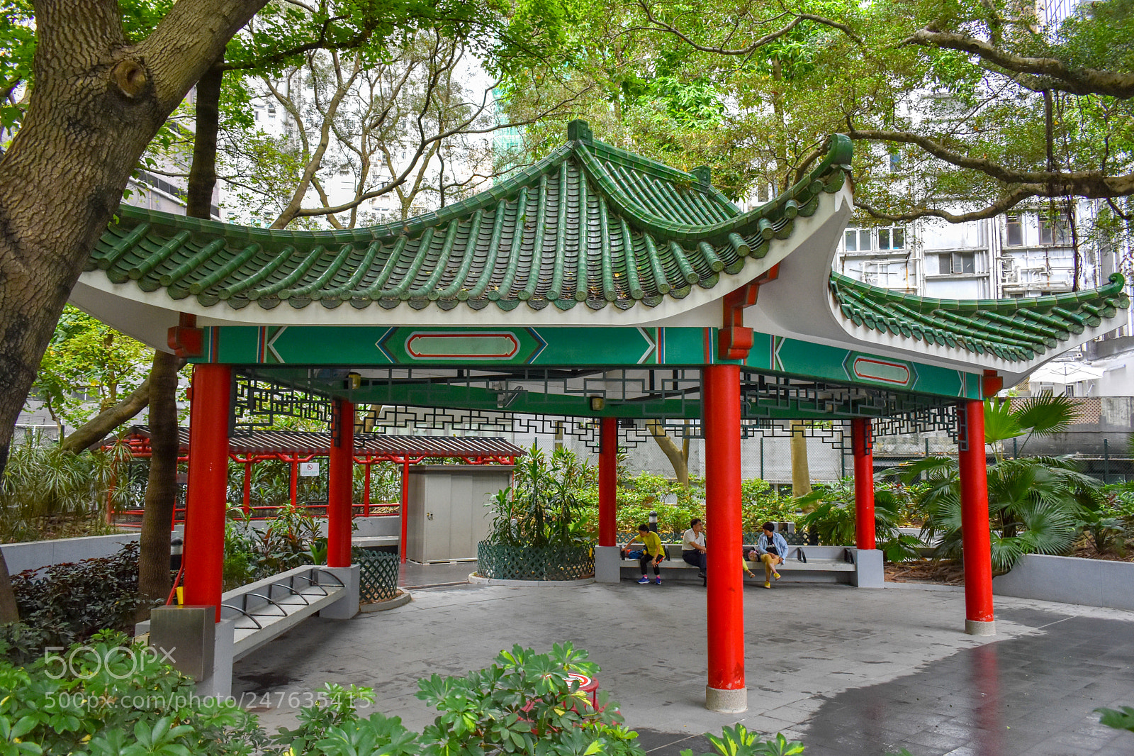 Nikon D3400 sample photo. Hollywood road park sheung photography