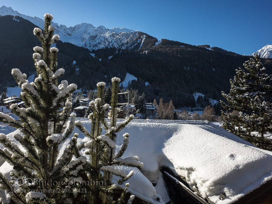 Ricoh GR II sample photo. Snow topping photography
