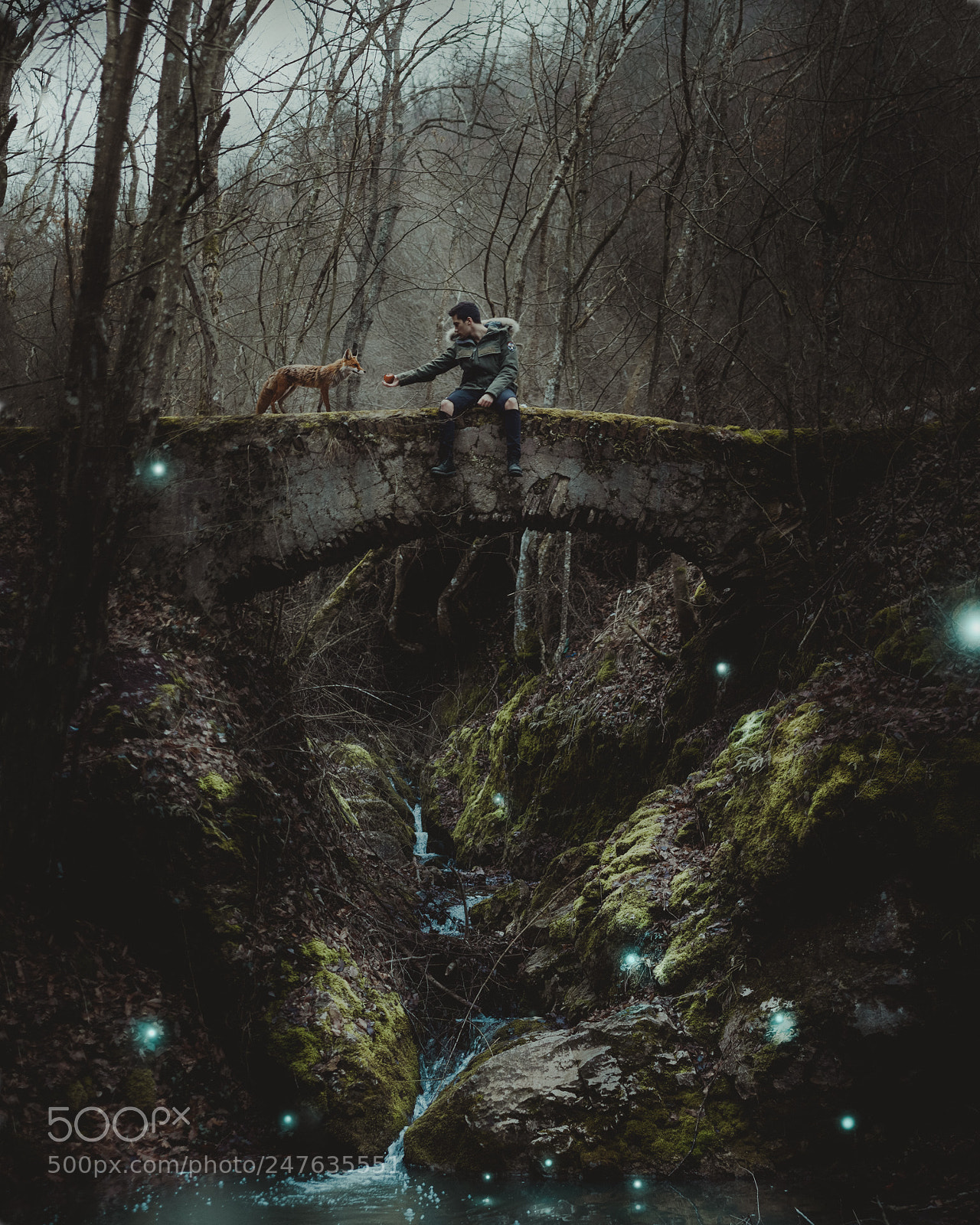 Canon EOS 600D (Rebel EOS T3i / EOS Kiss X5) sample photo. The magic forest photography