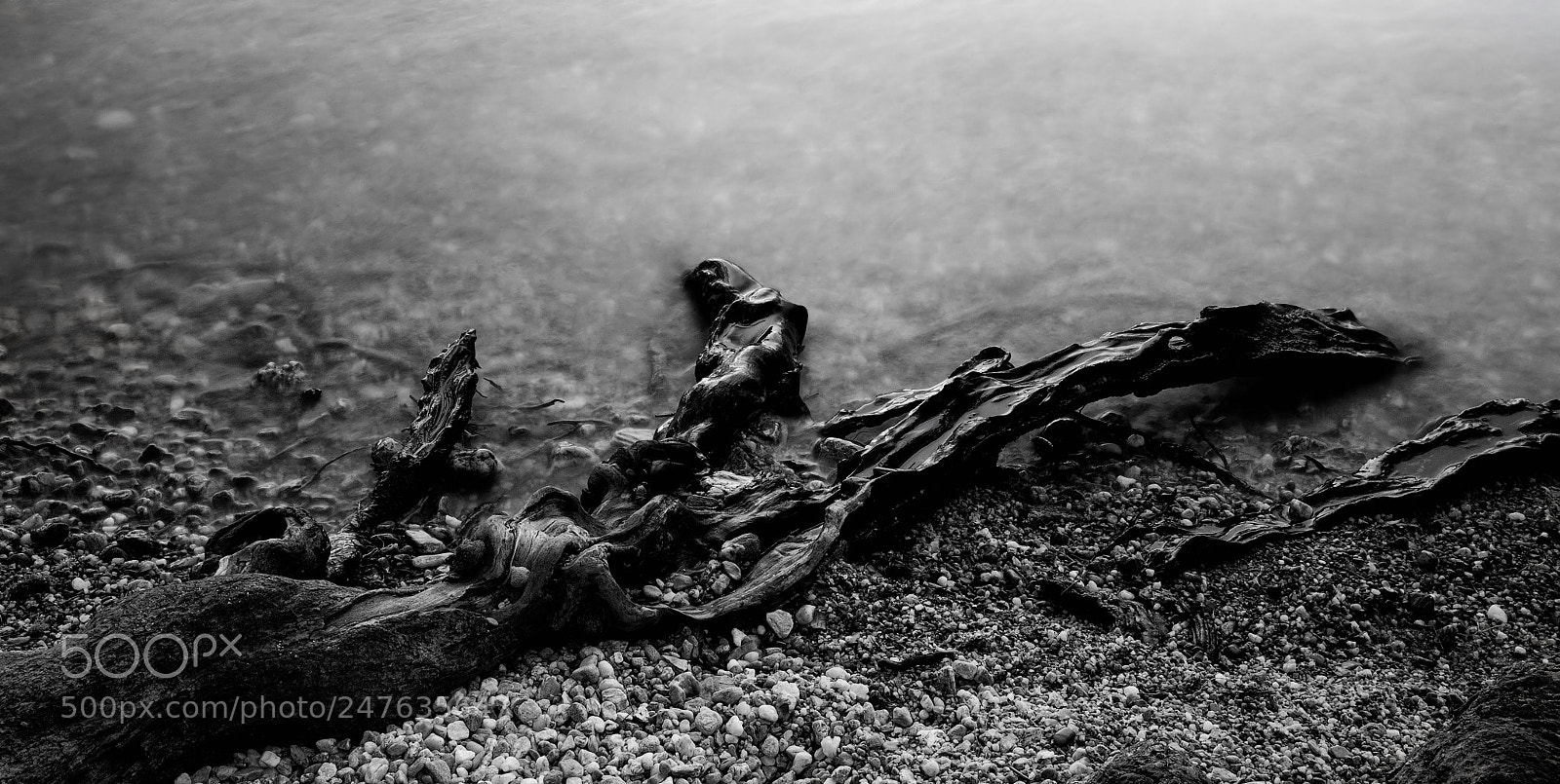 Canon EOS 650D (EOS Rebel T4i / EOS Kiss X6i) sample photo. Black roots 1. photography