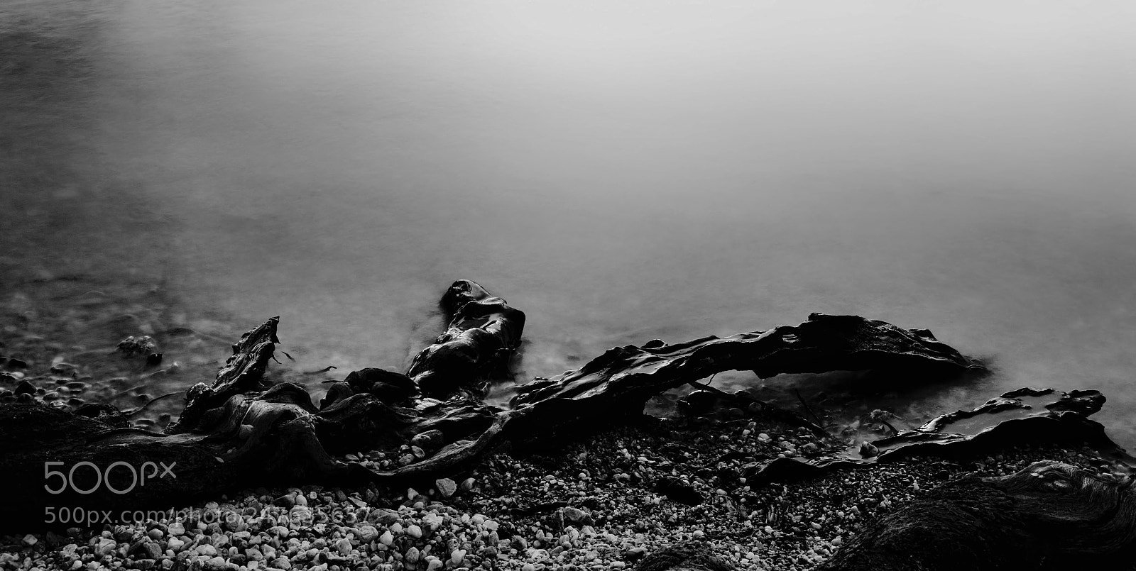 Canon EOS 650D (EOS Rebel T4i / EOS Kiss X6i) sample photo. Black roots 2. photography