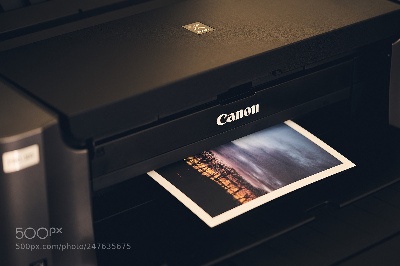 Sony a7R II sample photo. Day fifty eight photography