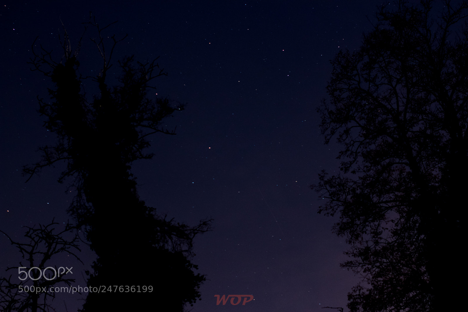 Canon EOS 1300D (EOS Rebel T6 / EOS Kiss X80) sample photo. Night sky over m photography