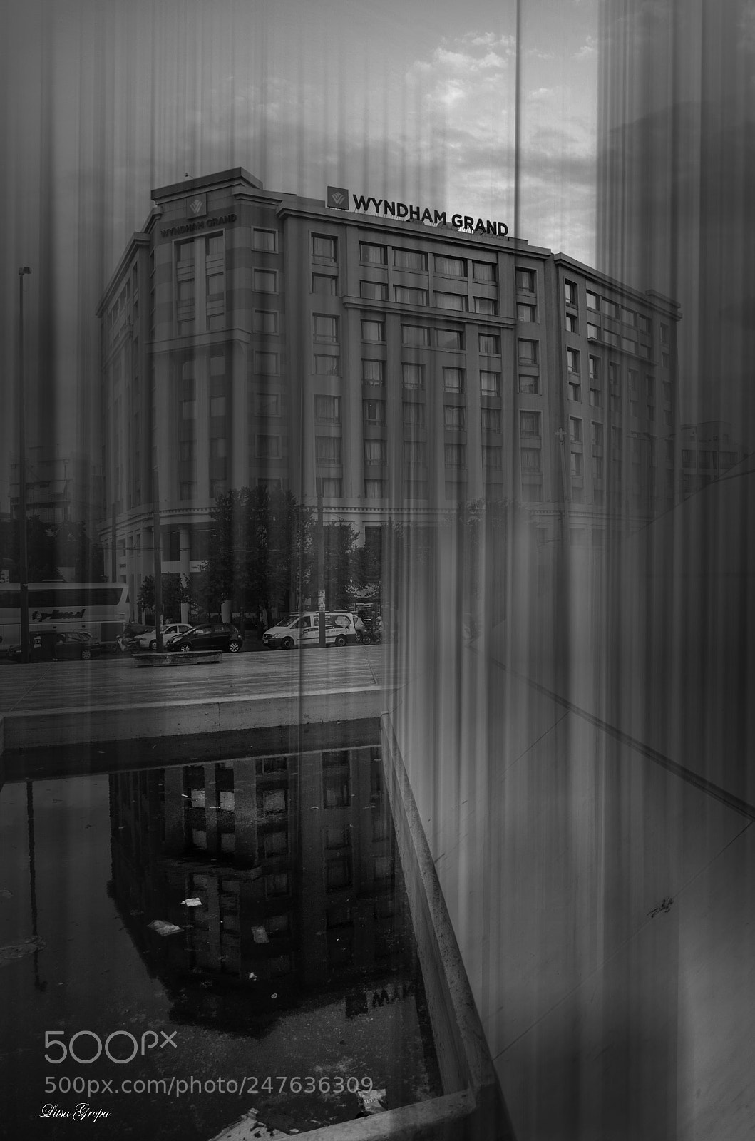 Nikon D5100 sample photo. Untitled photography