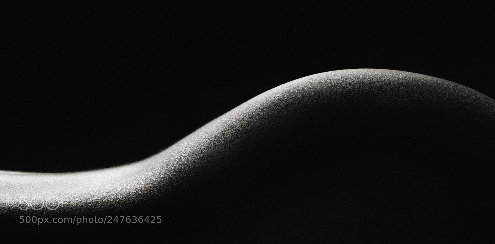 Canon EOS-1D Mark III sample photo. Grace lines photography