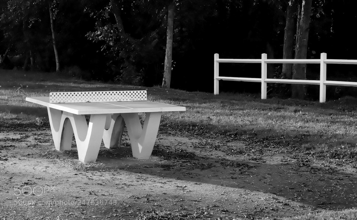 Fujifilm X30 sample photo. Une partie ? photography