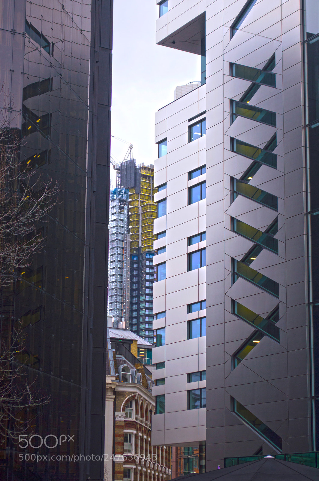 Nikon D3200 sample photo. Filling the gap photography