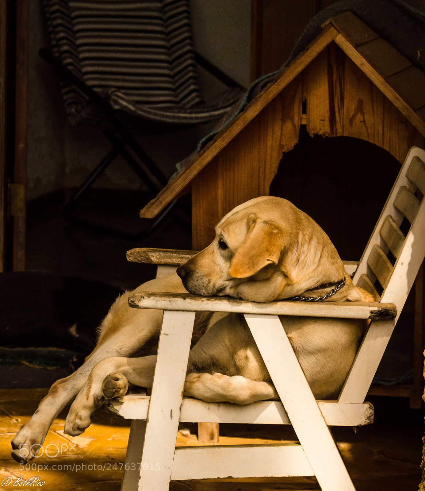 Nikon D5100 sample photo. Resting photography