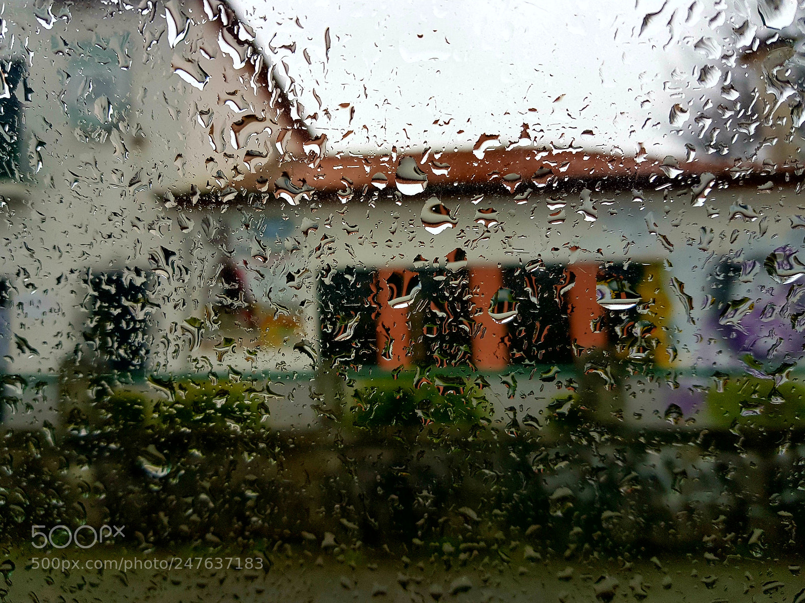 Samsung Galaxy S8 sample photo. I think, rain is photography