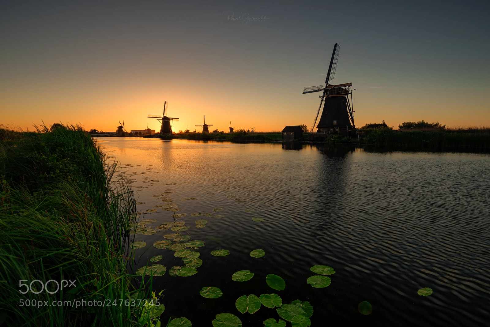 Nikon D810 sample photo. Kinderdijk photography