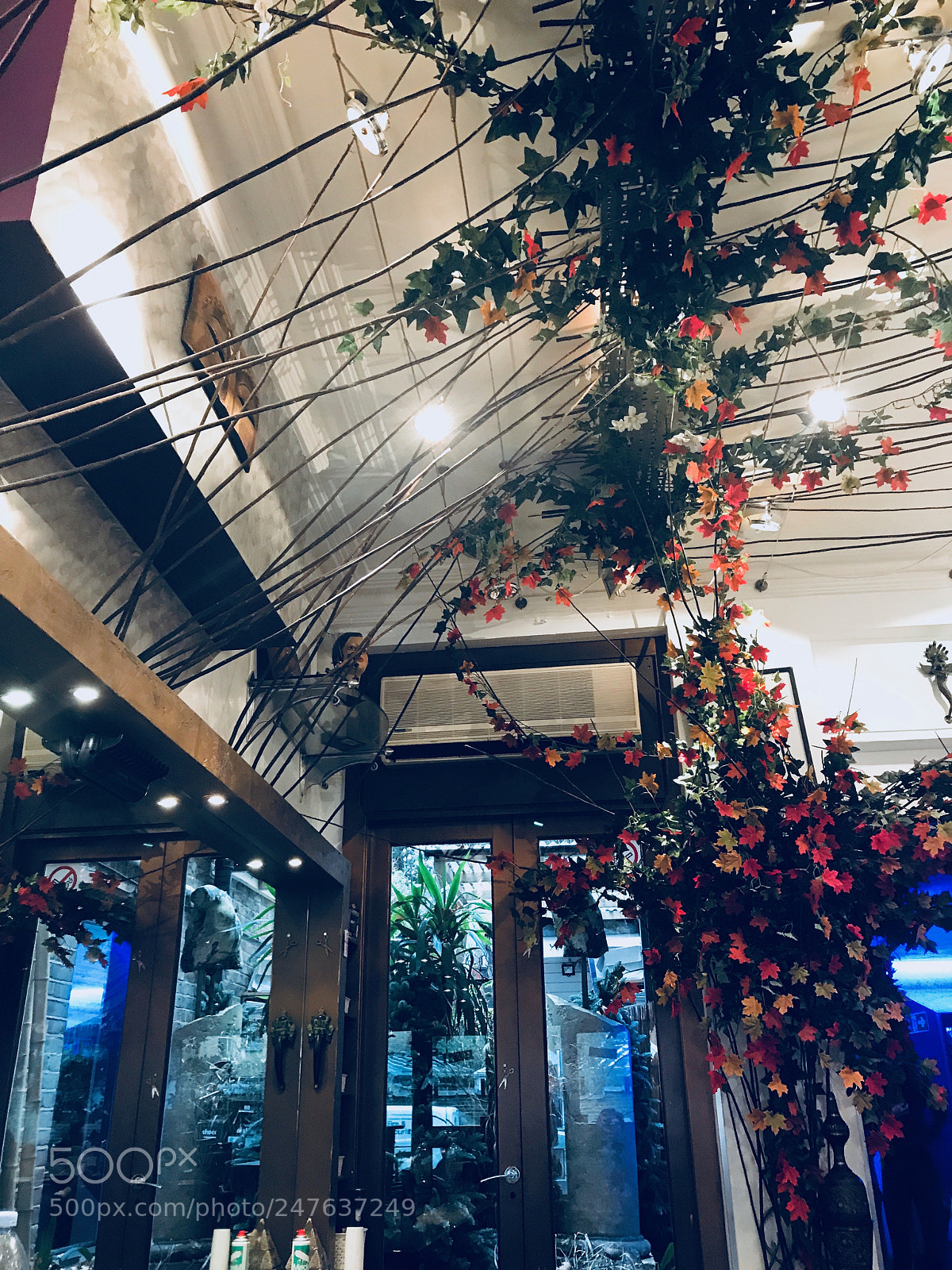 Apple iPhone 7 sample photo. Untitled photography