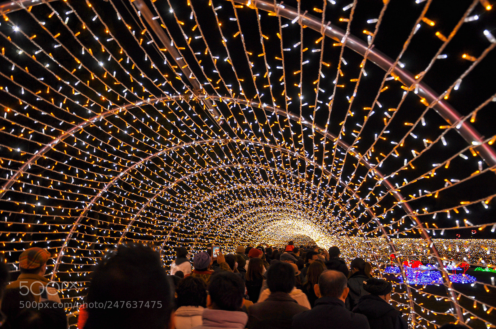Nikon D90 sample photo. Winter illumination at osaka photography