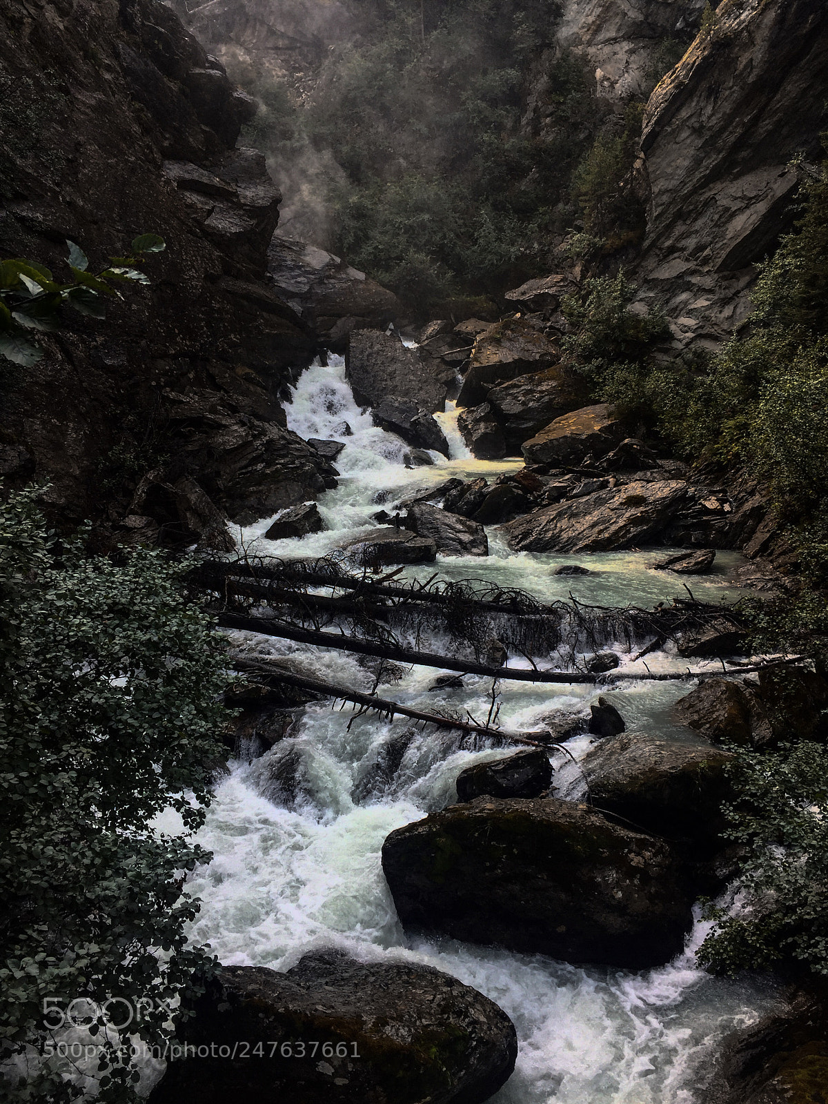 Apple iPhone 6 sample photo. Untitled photography