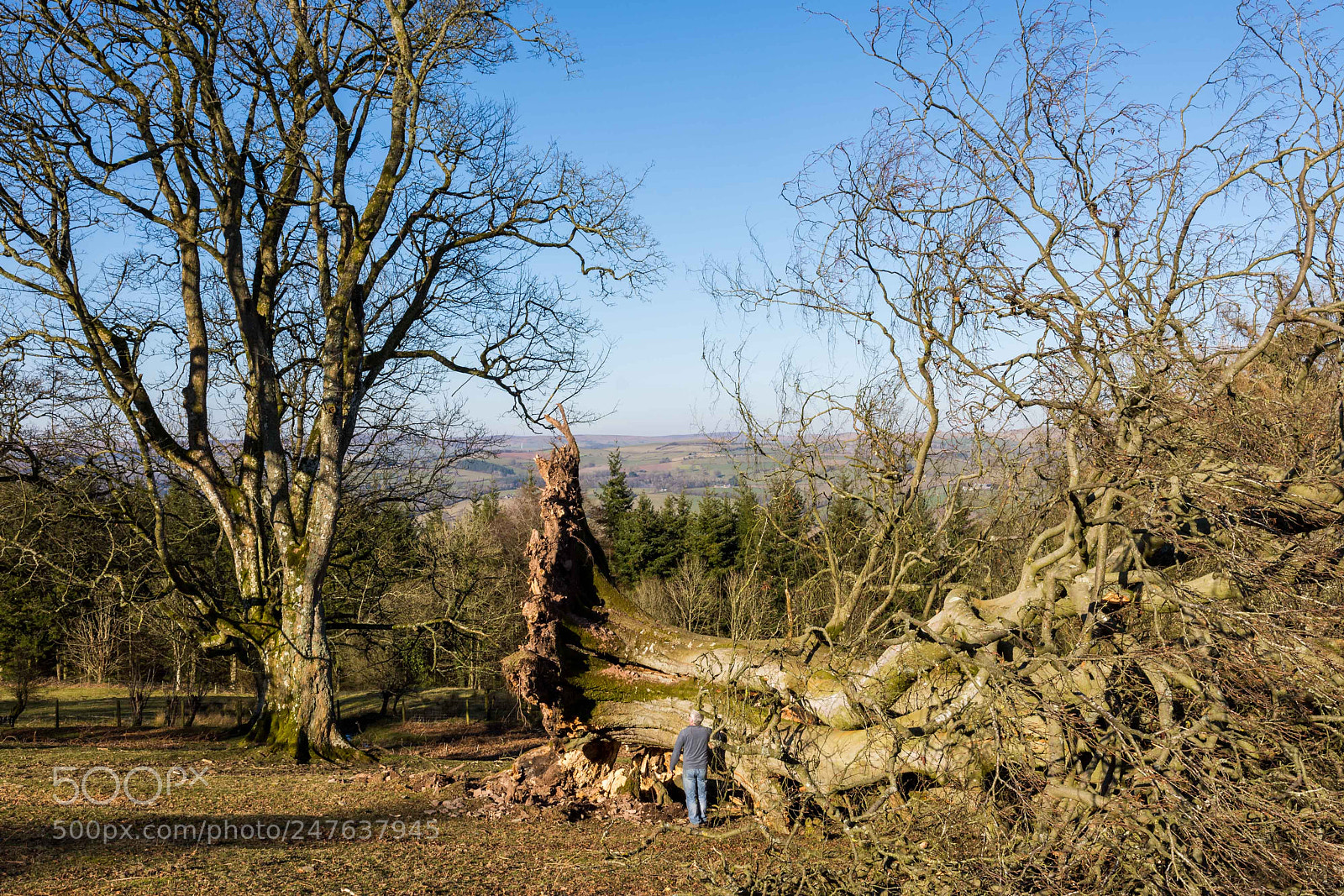 Nikon D7200 sample photo. Rip beech photography