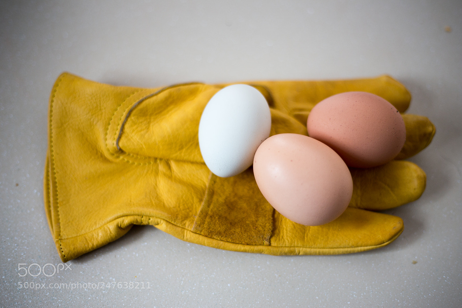 Canon EOS 6D sample photo. Glove and eggs photography