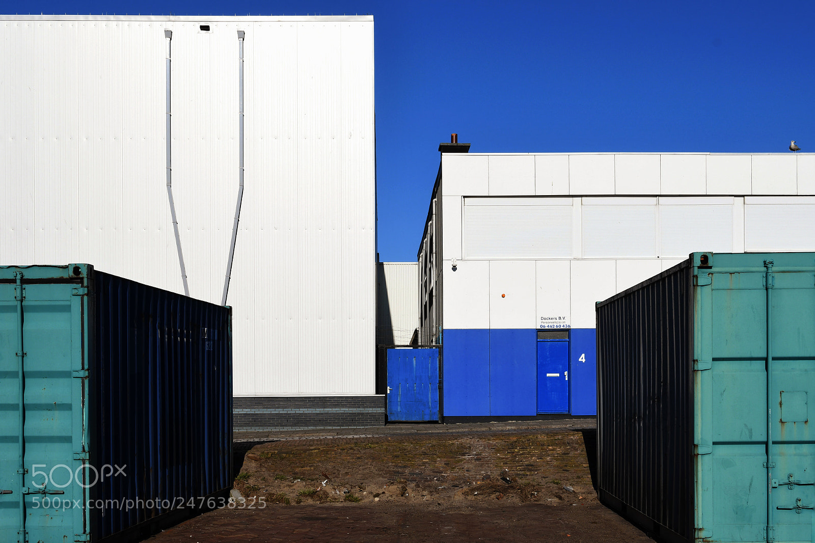Nikon D7500 sample photo. Composition with green and photography