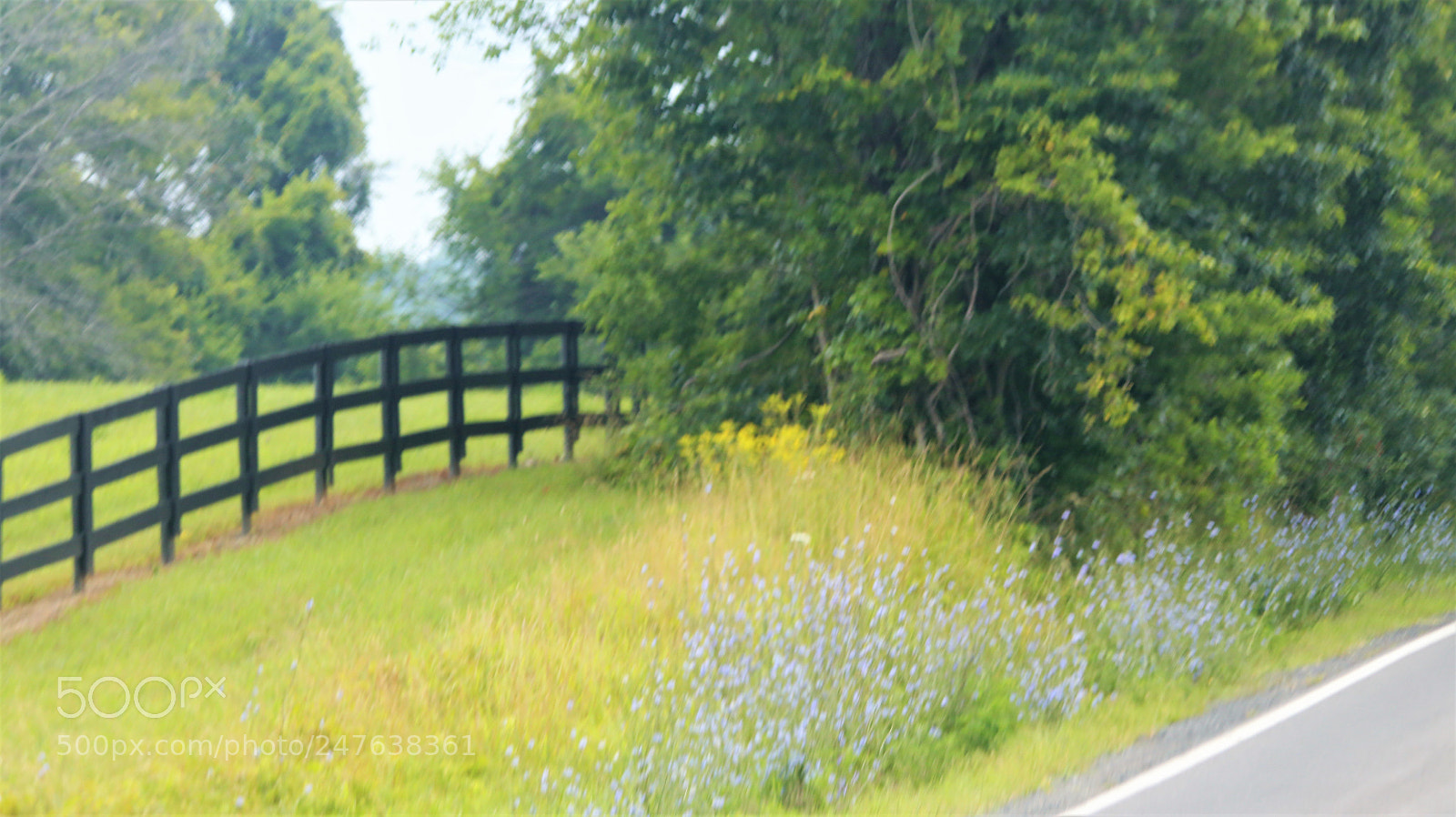 Canon EOS 80D sample photo. Greenandbridge.jpg photography