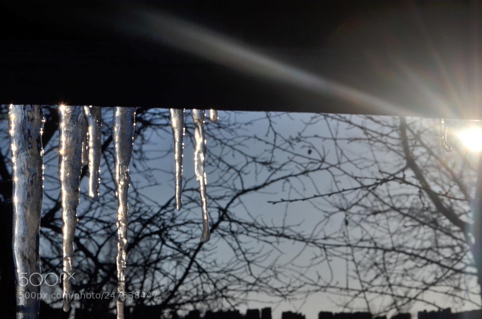 Nikon D5100 sample photo. Icicle photography