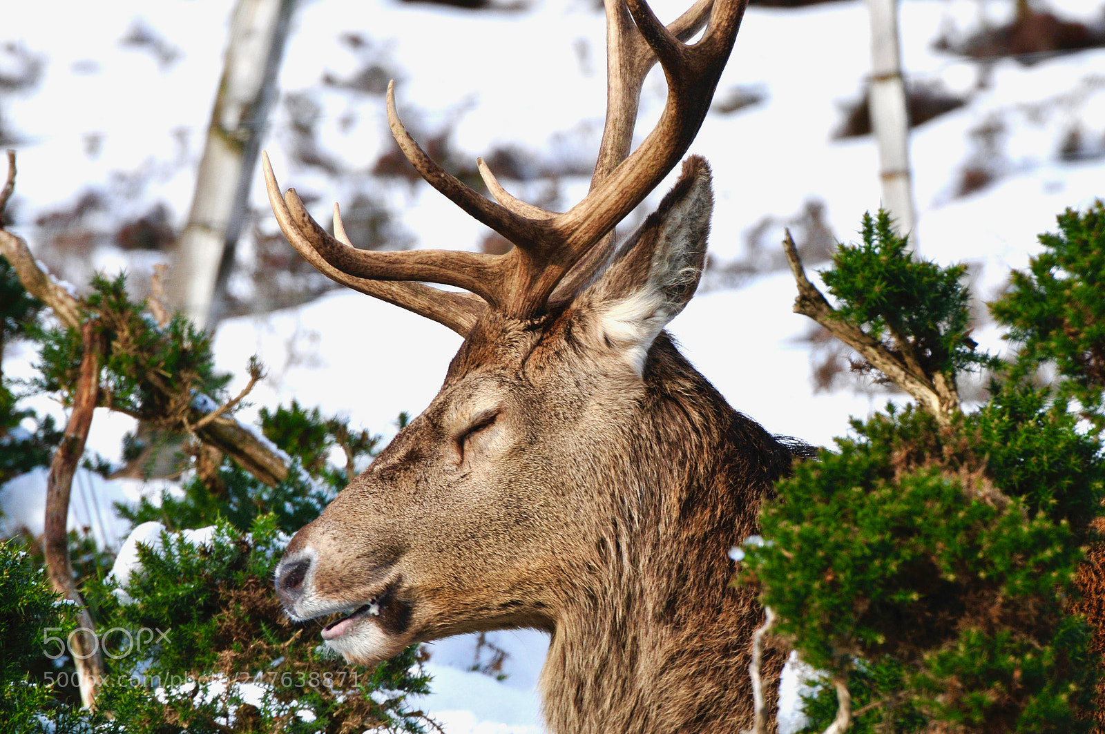 Nikon D300S sample photo. Enjoying the sunshine. photography
