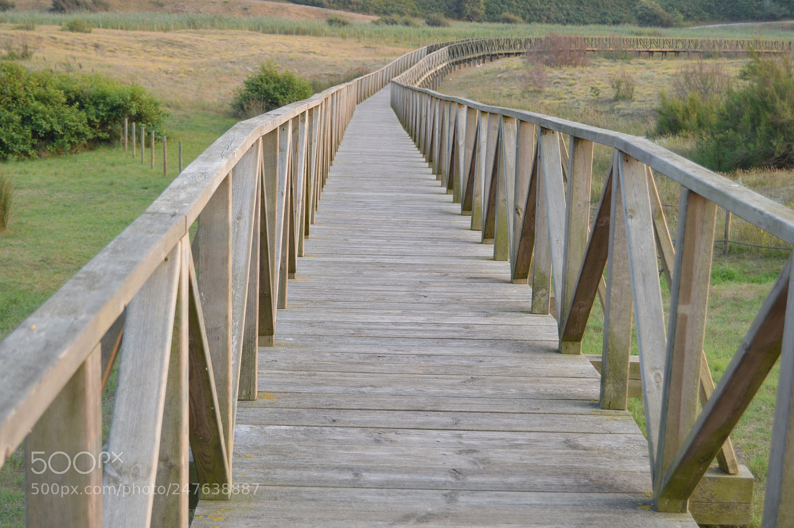 Nikon D3200 sample photo. Madera photography
