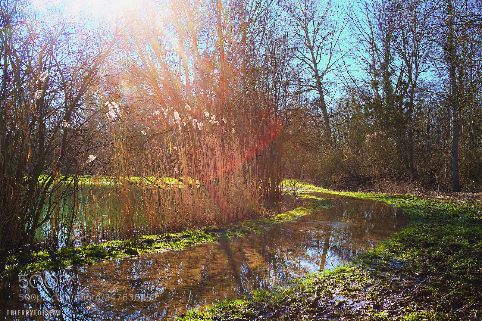 Sony a7 II sample photo. Lac d’oulin photography