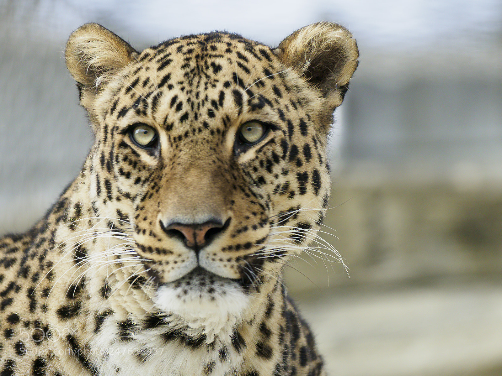 Olympus OM-D E-M1 Mark II sample photo. Olympus digital camera photography