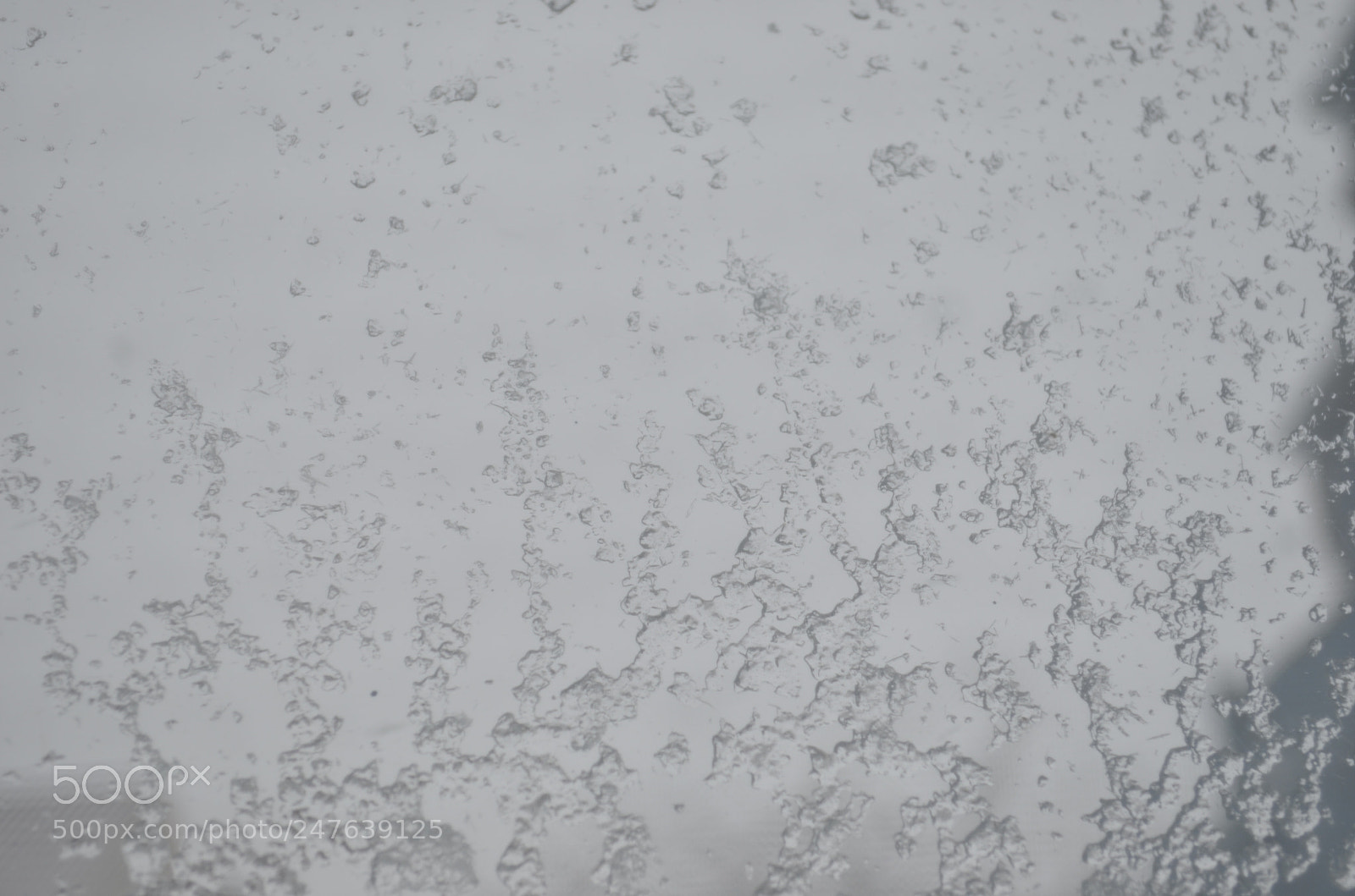 Nikon D5100 sample photo. Rain photography