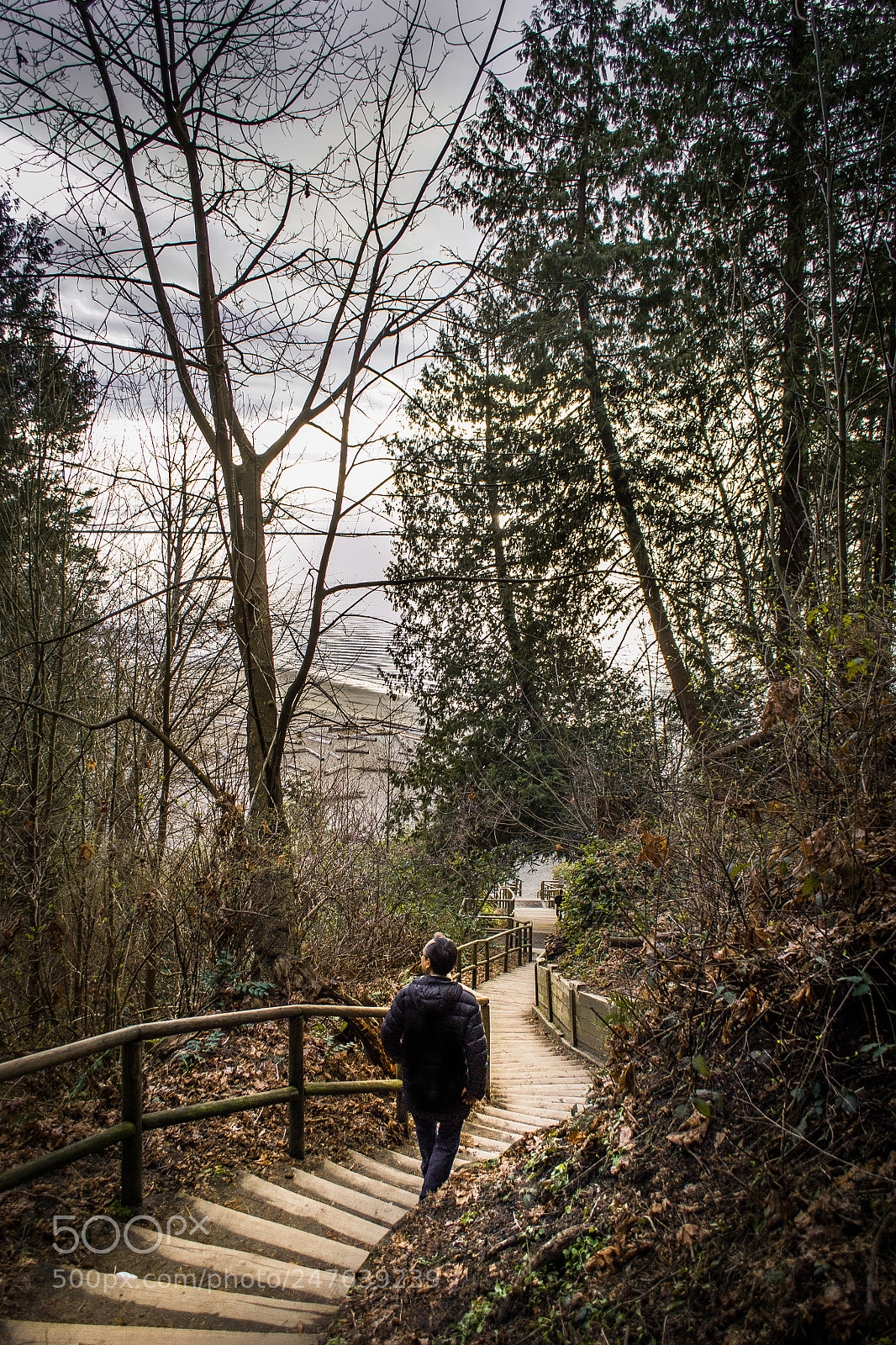 Nikon D3100 sample photo. Path to wreck photography