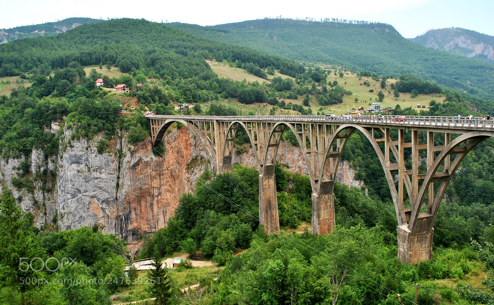 Nikon D3000 sample photo. Bridge photography