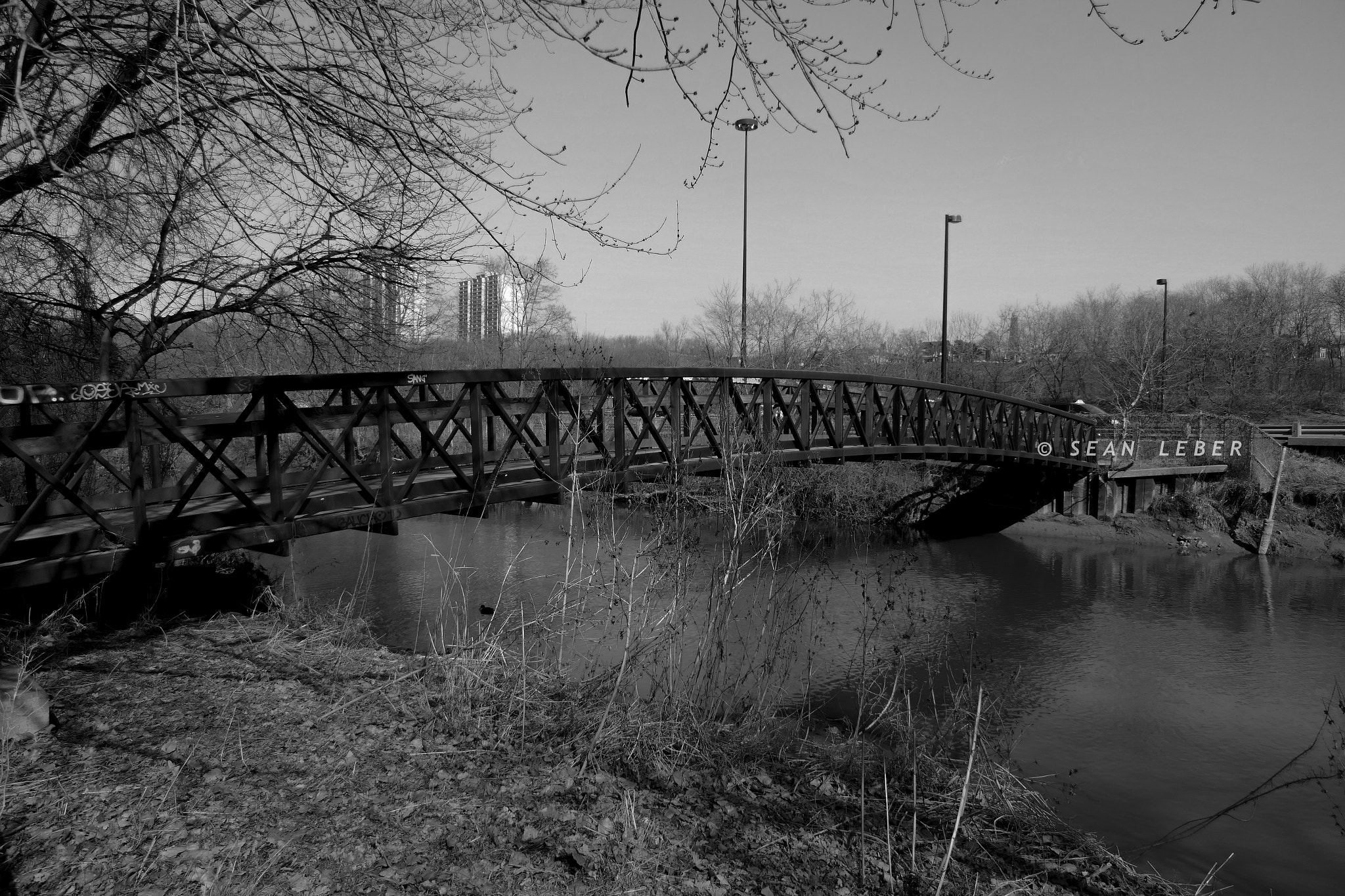 Panasonic Lumix DMC-FZ2500 (Lumix DMC-FZ2000) sample photo. Don valley bridge photography