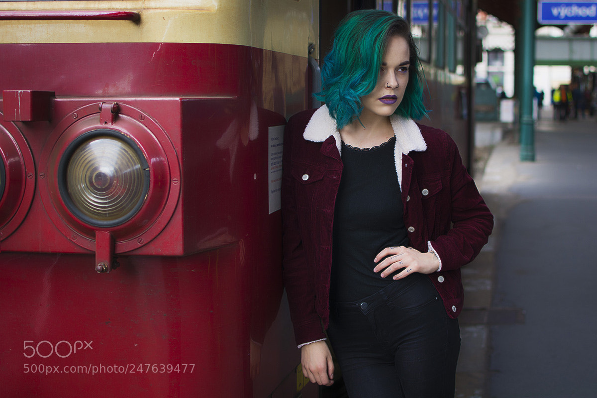 Nikon D7100 sample photo. Rose photography