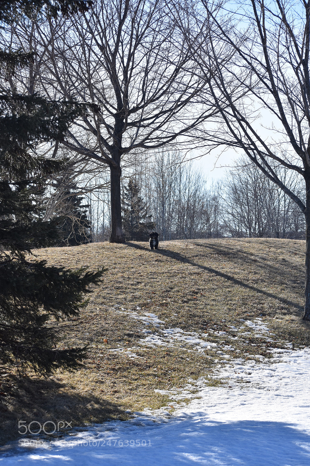 Nikon D3400 sample photo. I m not going photography