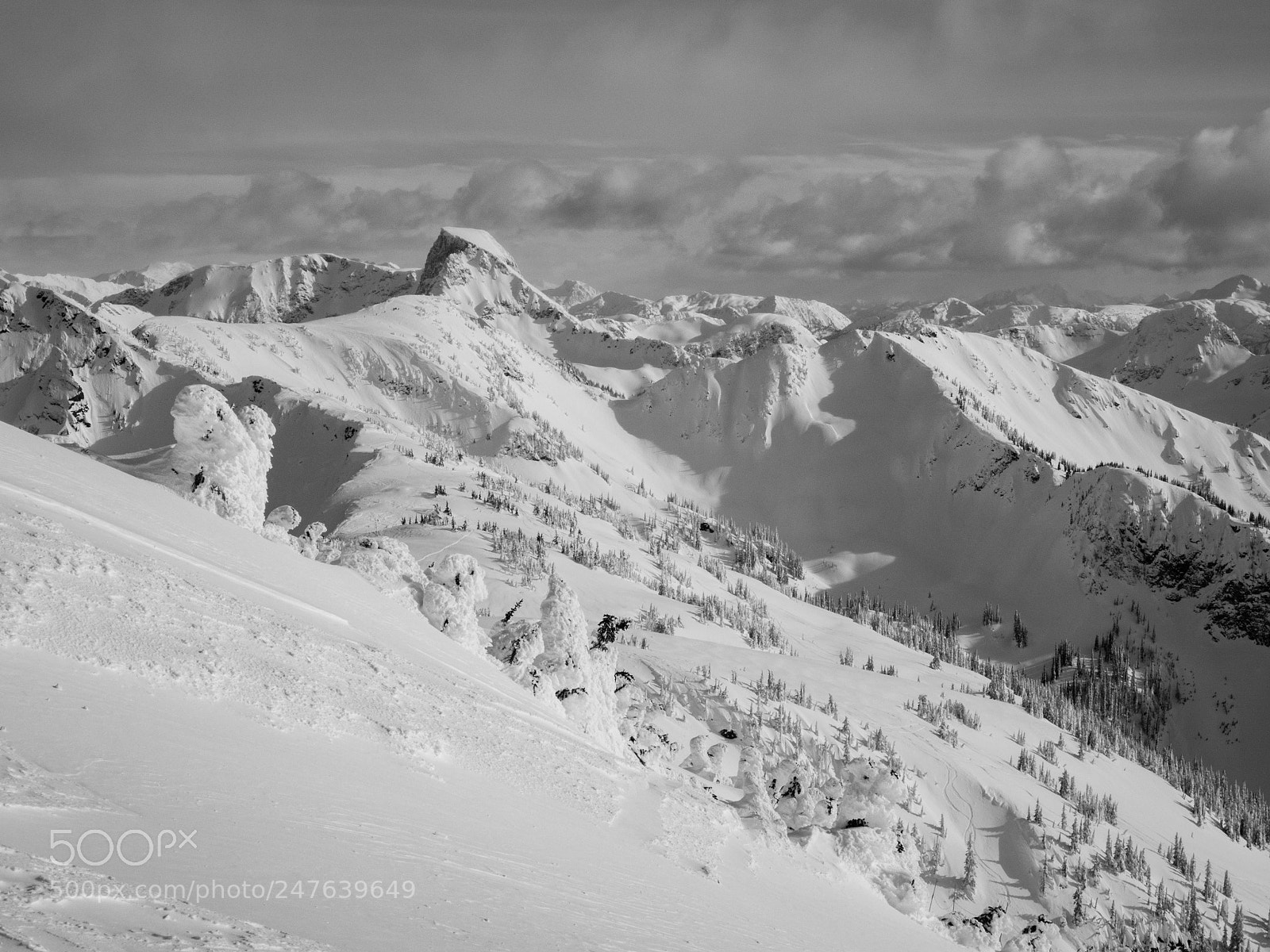 Olympus OM-D E-M5 II sample photo. Winter in b.c. photography