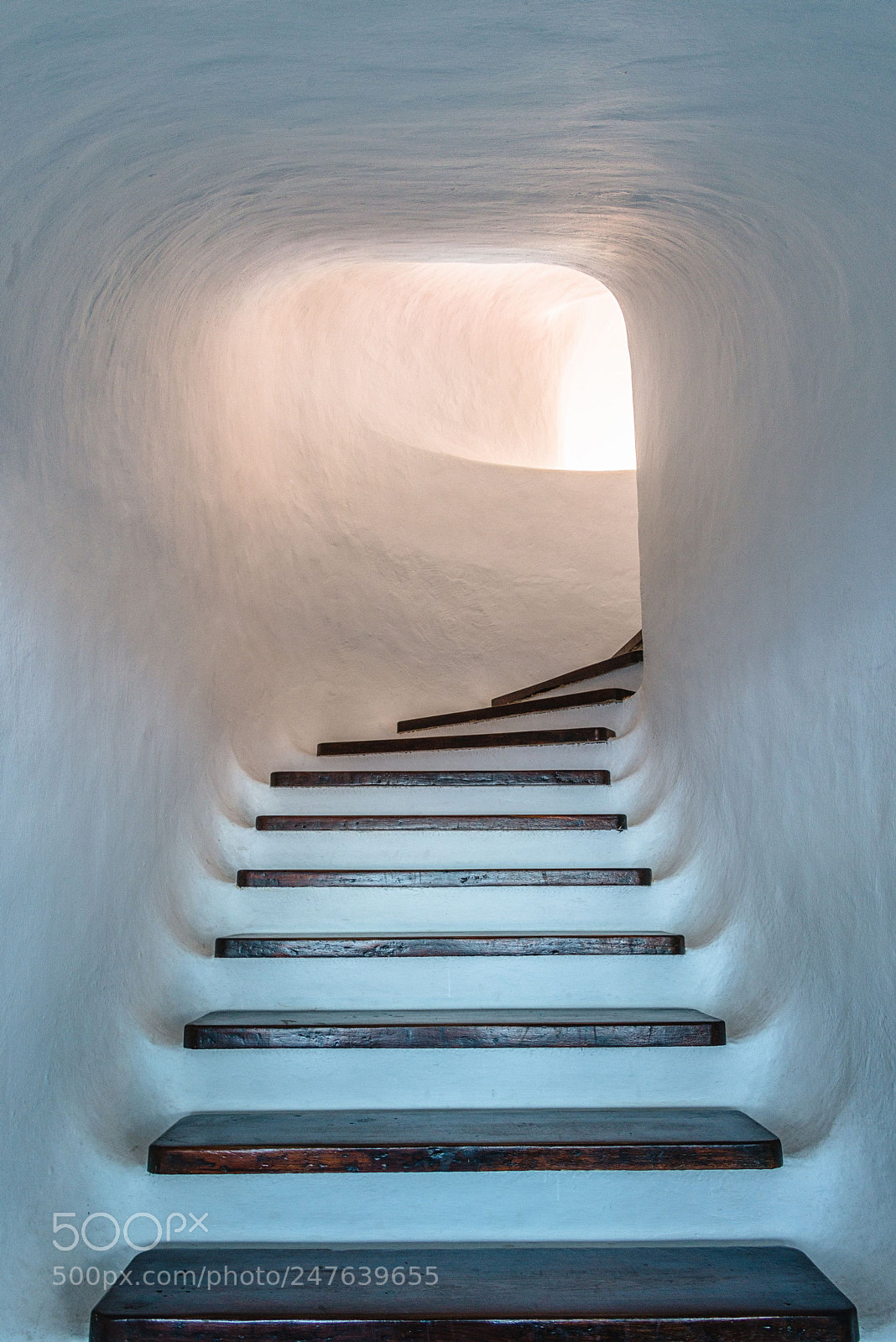 Nikon D800 sample photo. Last steps to light photography