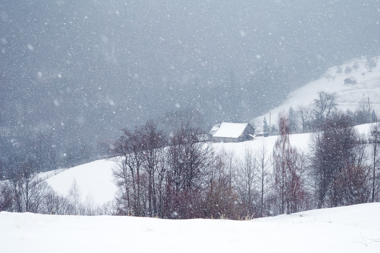 Canon EOS 6D sample photo. Snowy silence photography