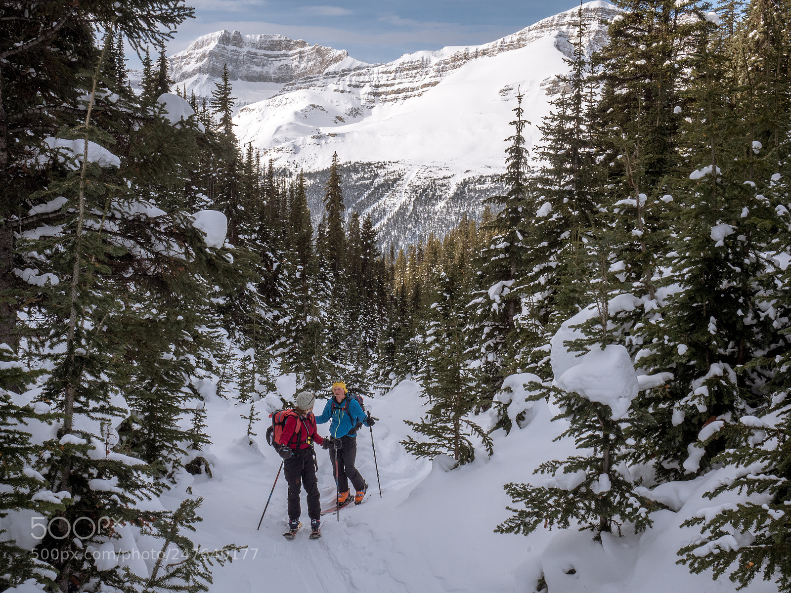 Olympus OM-D E-M5 II sample photo. Backcountry skiing in alberta photography