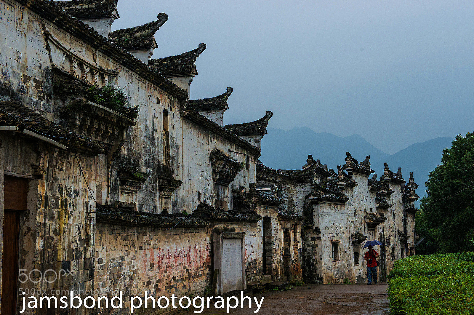 Nikon D800 sample photo. Rain walker photography