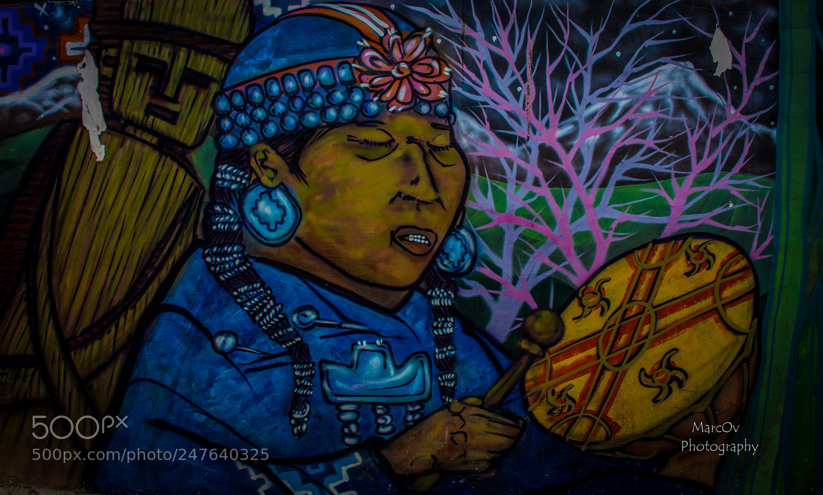 Nikon D7200 sample photo. Mapuche culture photography
